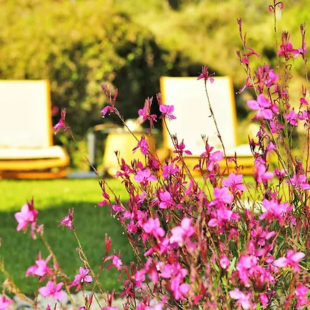 Mounty Island * Lazaráta